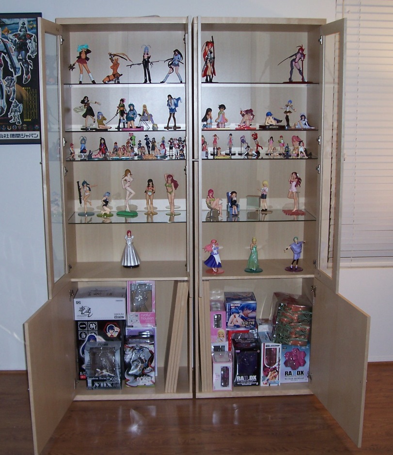 display cabinet for anime figures